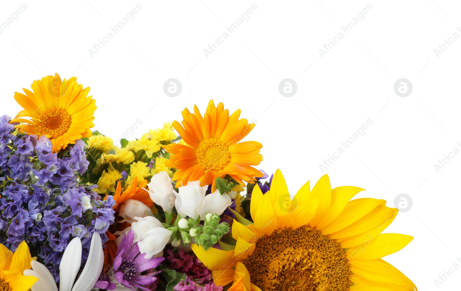 Photo of Bunch of beautiful wild flowers on white background