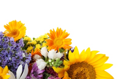 Photo of Bunch of beautiful wild flowers on white background