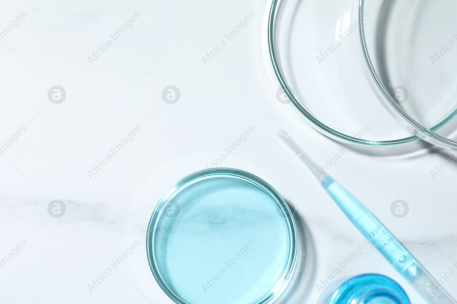 Photo of Pipette and petri dishes with liquid on white marble table, flat lay