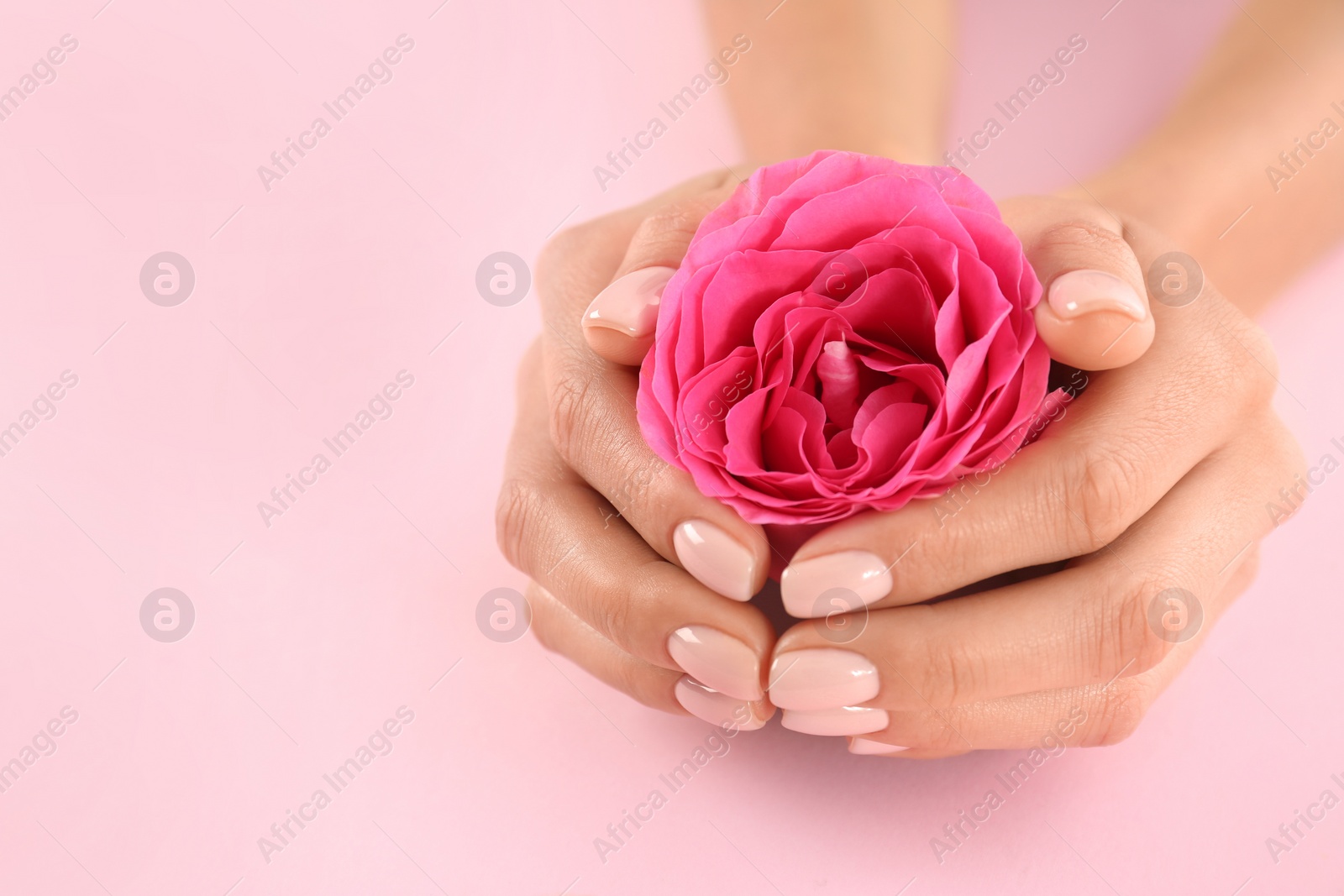 Photo of Closeup view of woman with rose on color background, space for text. Spa treatment