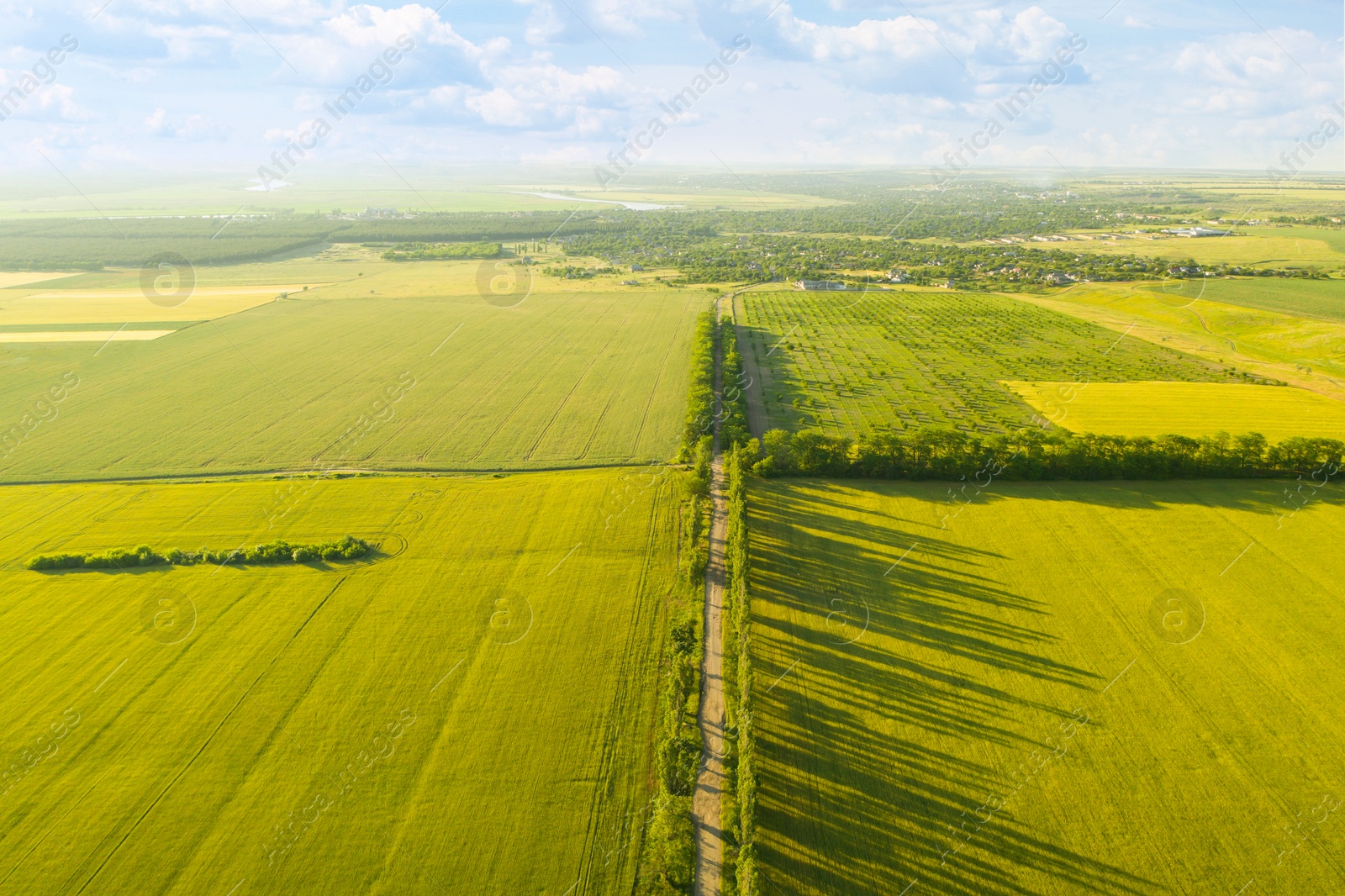 Image of Beautiful aerial view of green fields and empty road on sunny day