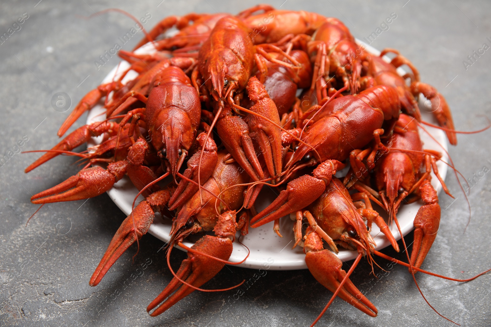 Photo of Delicious boiled crayfishes on grey table, closeup