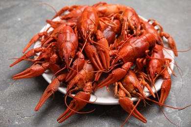 Delicious boiled crayfishes on grey table, closeup