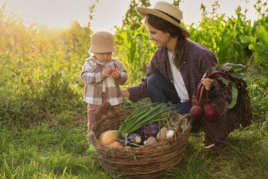 Photo of Mother and daughter harvesting different fresh ripe vegetables on farm