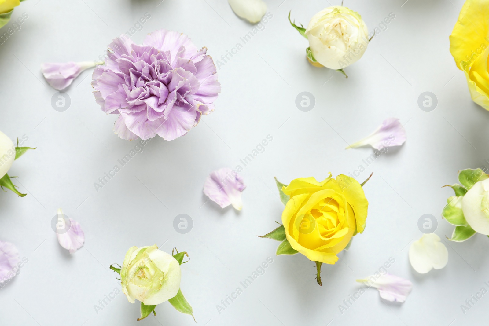 Photo of Flat lay composition with beautiful blooming flowers on grey background