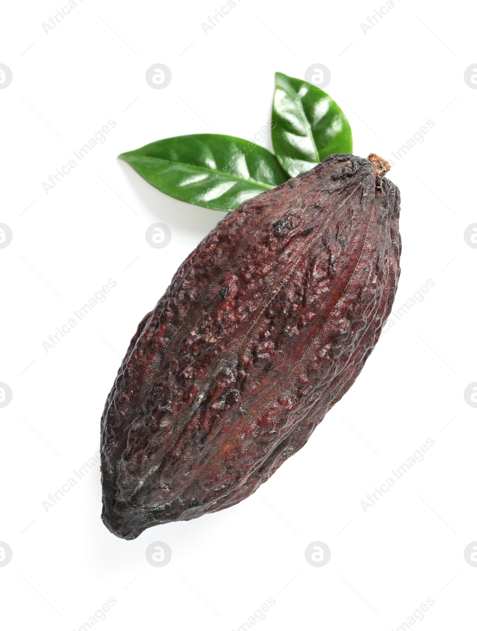 Photo of Cocoa pod and leaves on white background, top view