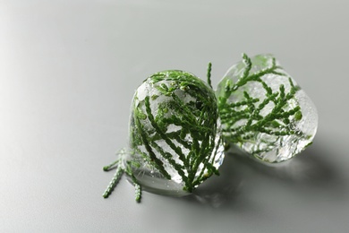 Ice cube with branches of conifer tree on grey background
