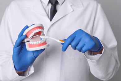 Photo of Dentist with jaws model and toothbrush on light grey background, closeup. Oral care demonstration