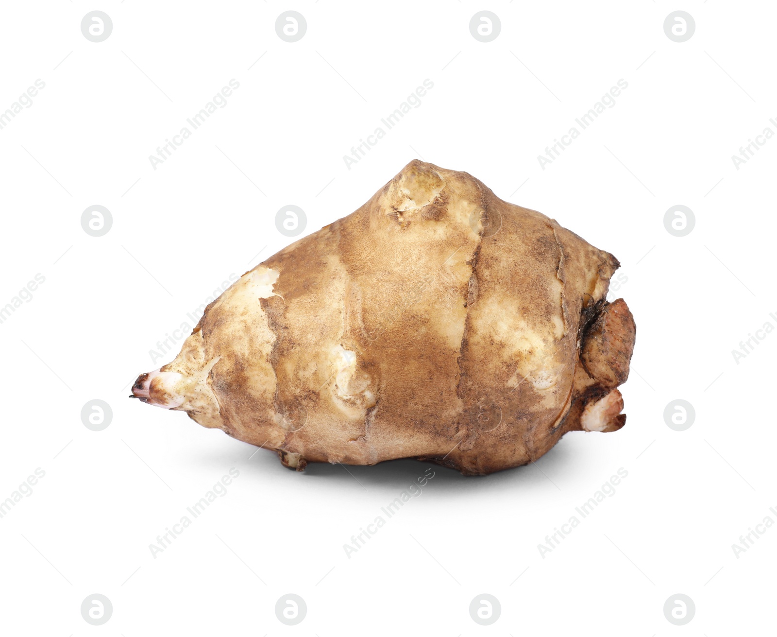 Photo of One raw Jerusalem artichoke isolated on white