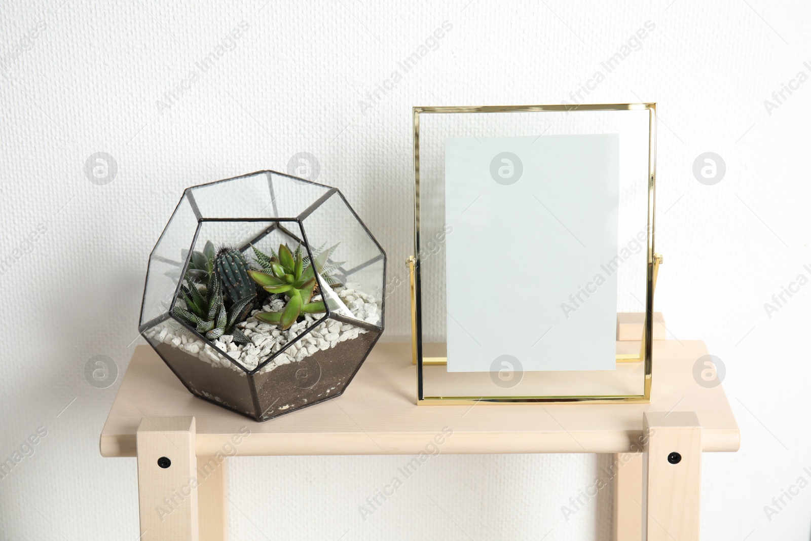 Photo of Florarium with succulent plants and photo frame on table near white wall, space for design. Home decor