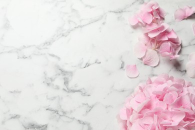 Beautiful pink hortensia flowers on white marble table, flat lay. Space for text