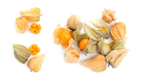 Image of Set with tasty ripe physalis fruits on white background, top view