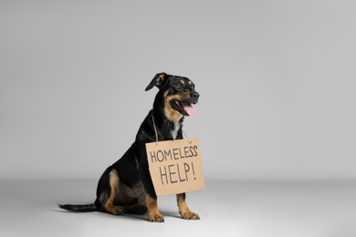 Photo of Cute dog with sign Homeless Help! on white background. Lost pet