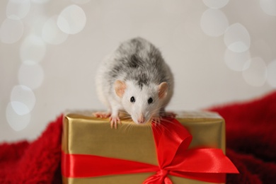 Photo of Cute little rat and gift box on red fluffy blanket against blurred lights. Chinese New Year symbol