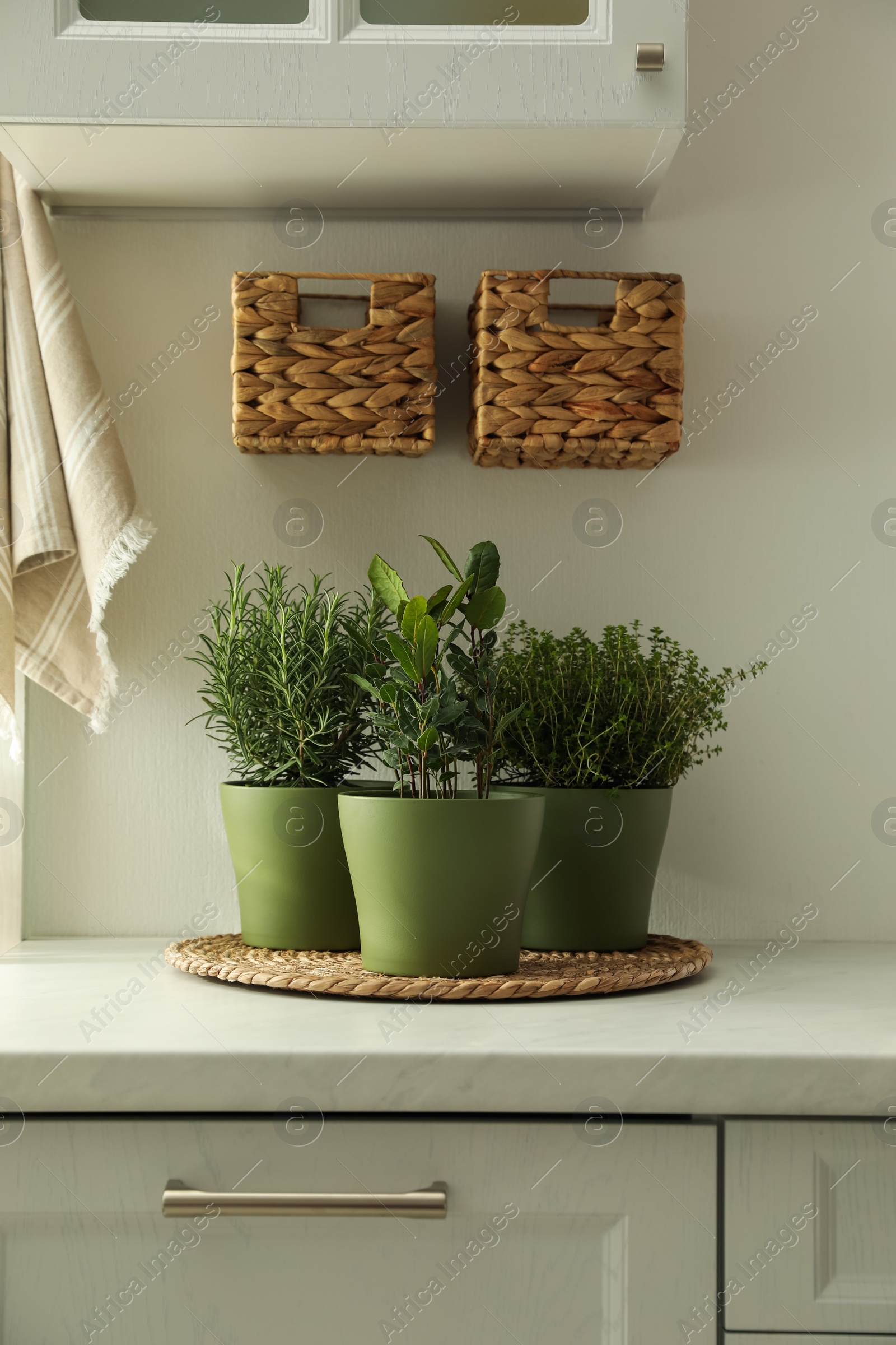 Photo of Different aromatic potted herbs on countertop in kitchen