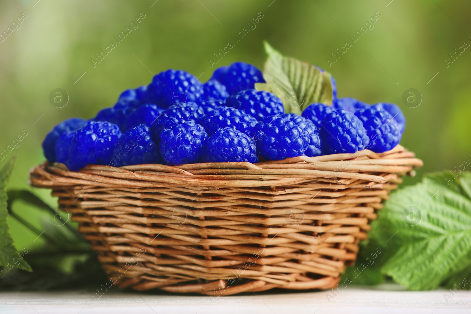 Image of Many fresh blue raspberries in wicker bowl on table, closeup