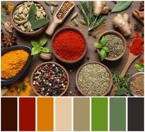 Image of Flat lay composition with different herbs and spices on wooden table and color palette. Collage