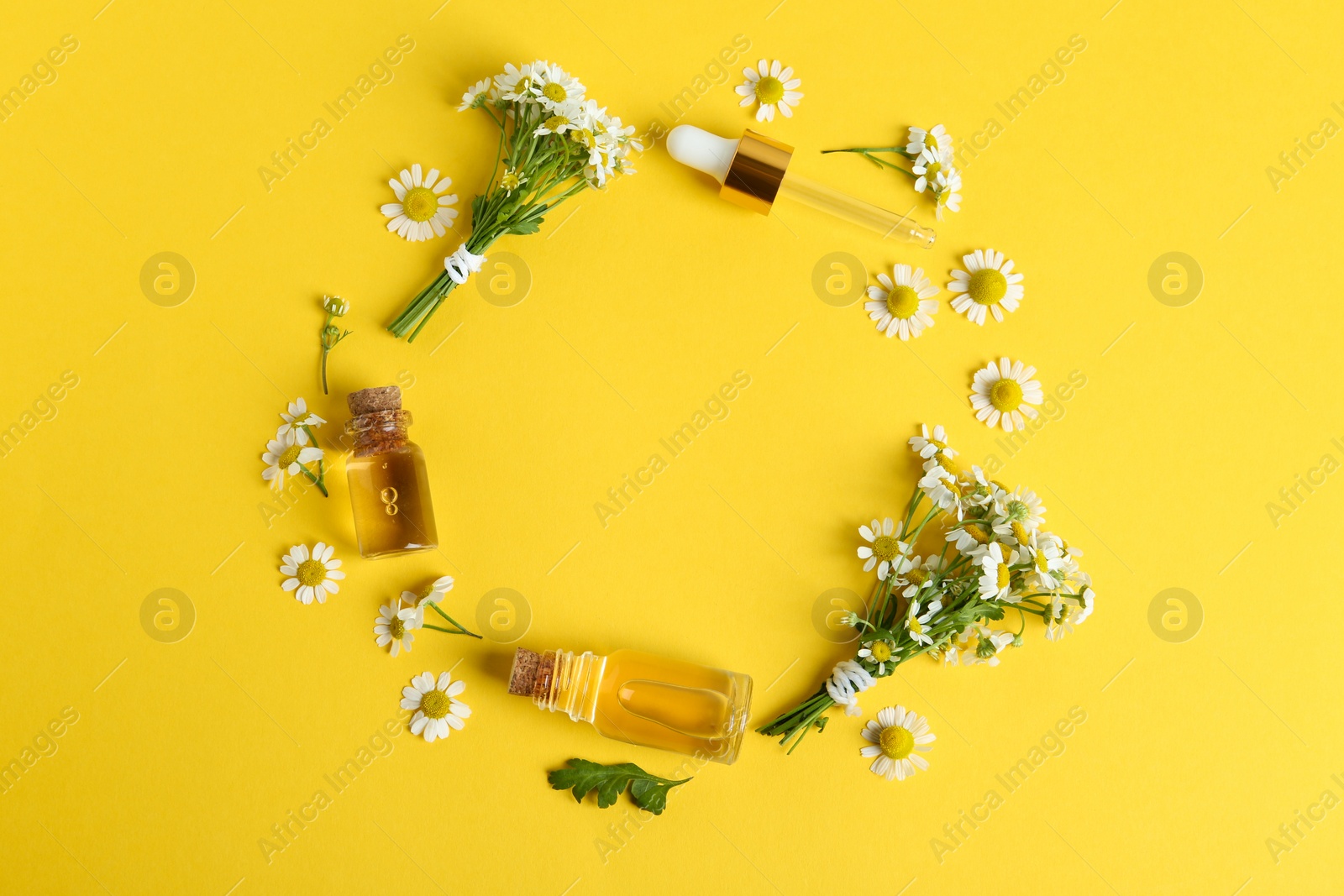 Photo of Frame made with bottles of essential oil and chamomiles on yellow background, flat lay. Space for text