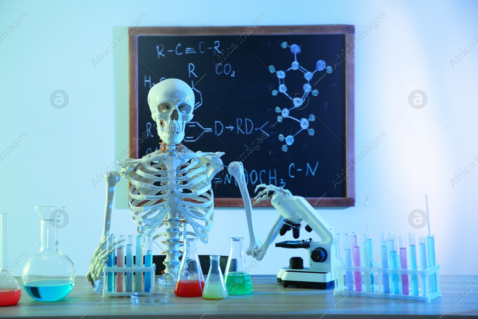 Photo of Skeleton and different chemistry glassware in classroom, toned in blue