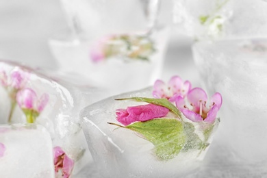 Photo of Floral ice cubes on table, closeup view