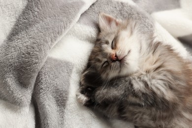 Photo of Cute kitten sleeping on soft blanket. Baby animal