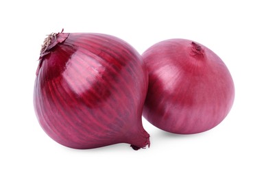 Photo of Two fresh red onions on white background