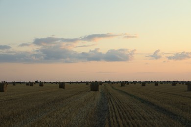 Beautiful view of agricultural field with hay bales in evening