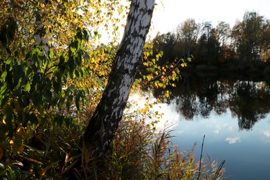 Picturesque view of lake and trees on autumn day