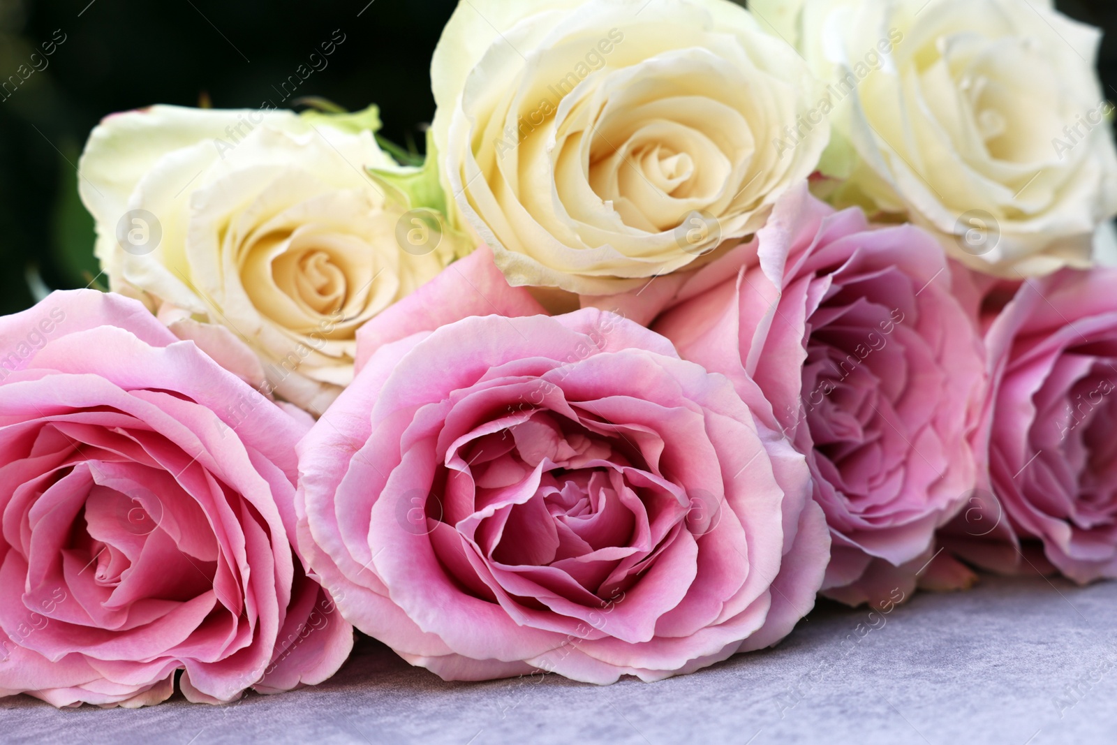 Photo of Beautiful bouquet of roses on light grey table outdoors, closeup