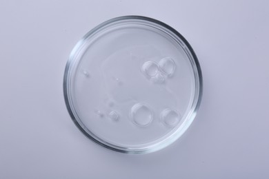 Photo of Petri dish with liquid sample isolated on white, top view