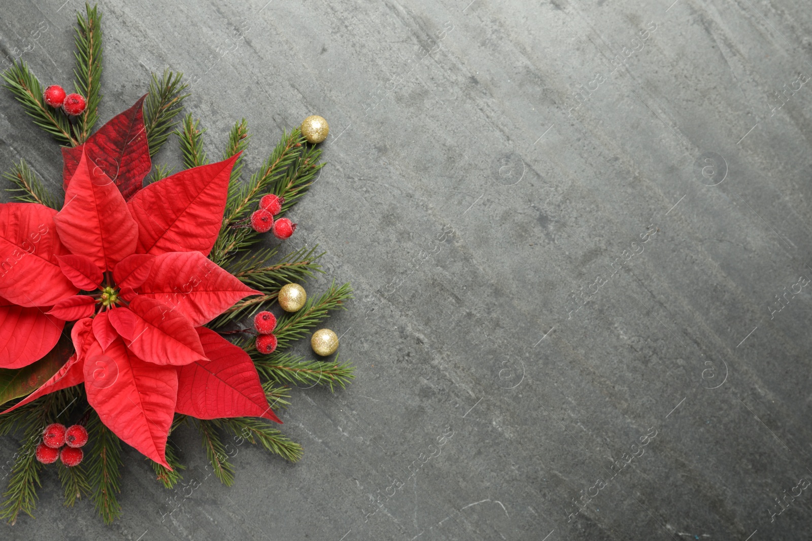 Photo of Flat lay composition with beautiful poinsettia on grey background, space for text. Christmas traditional flower