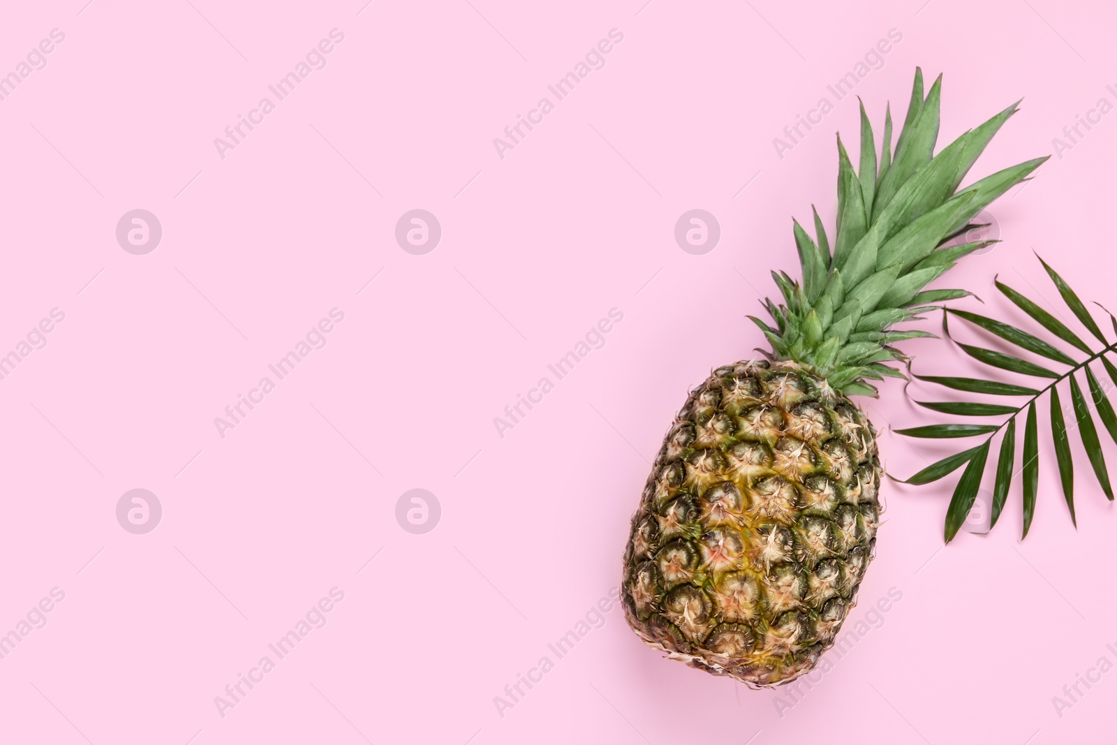 Photo of Whole ripe pineapple and green leaves on pale pink background, flat lay. Space for text