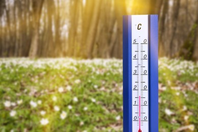 Image of Thermometer and beautiful forest with with white flowers. Temperature in spring