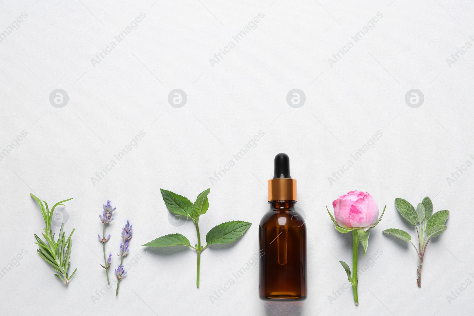 Photo of Bottle of essential oil, different herbs and flowers on white background, flat lay. Space for text