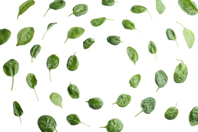 Fresh green healthy baby spinach leaves on white background, top view. Space for text