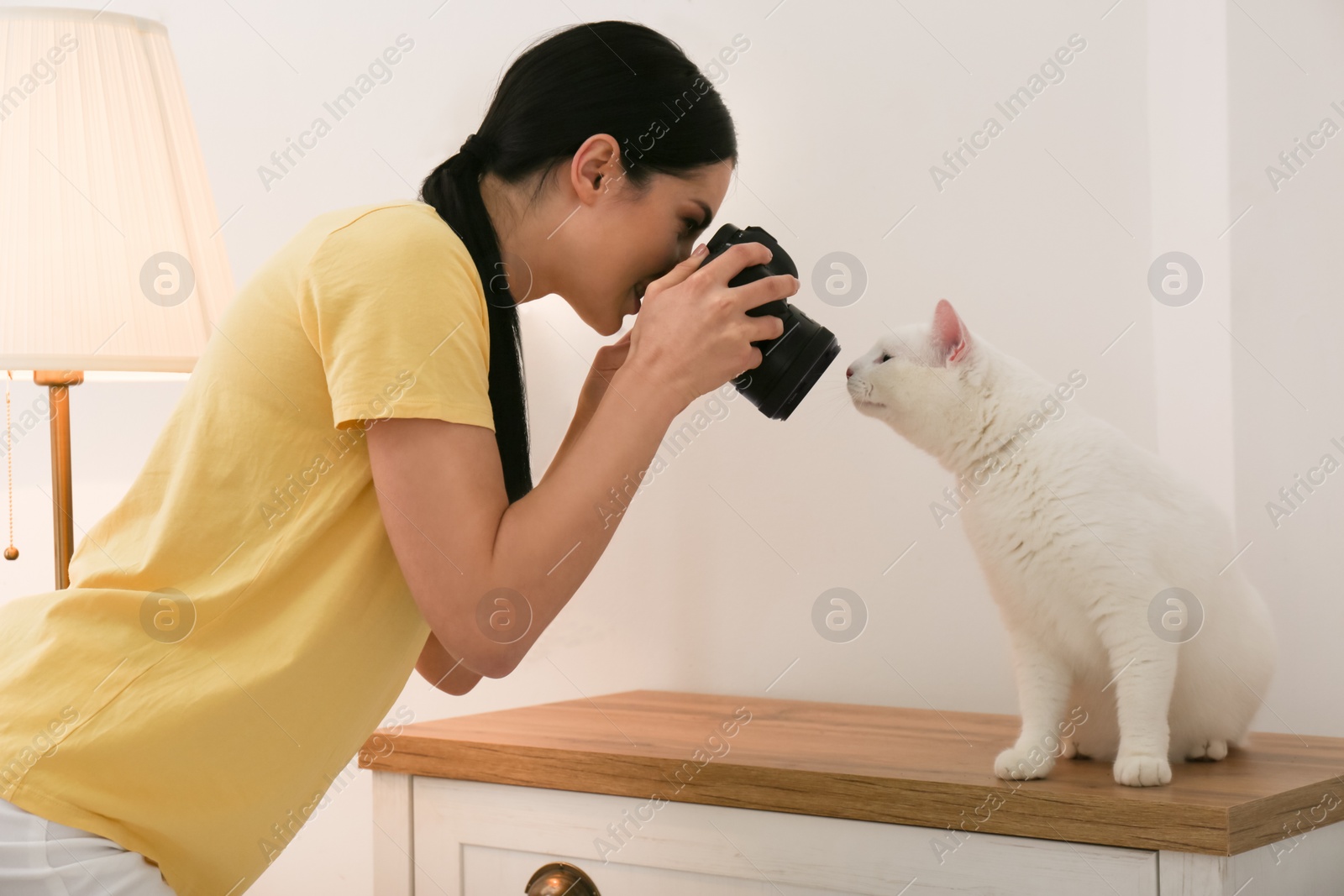 Photo of Professional animal photographer taking picture of beautiful white cat indoors