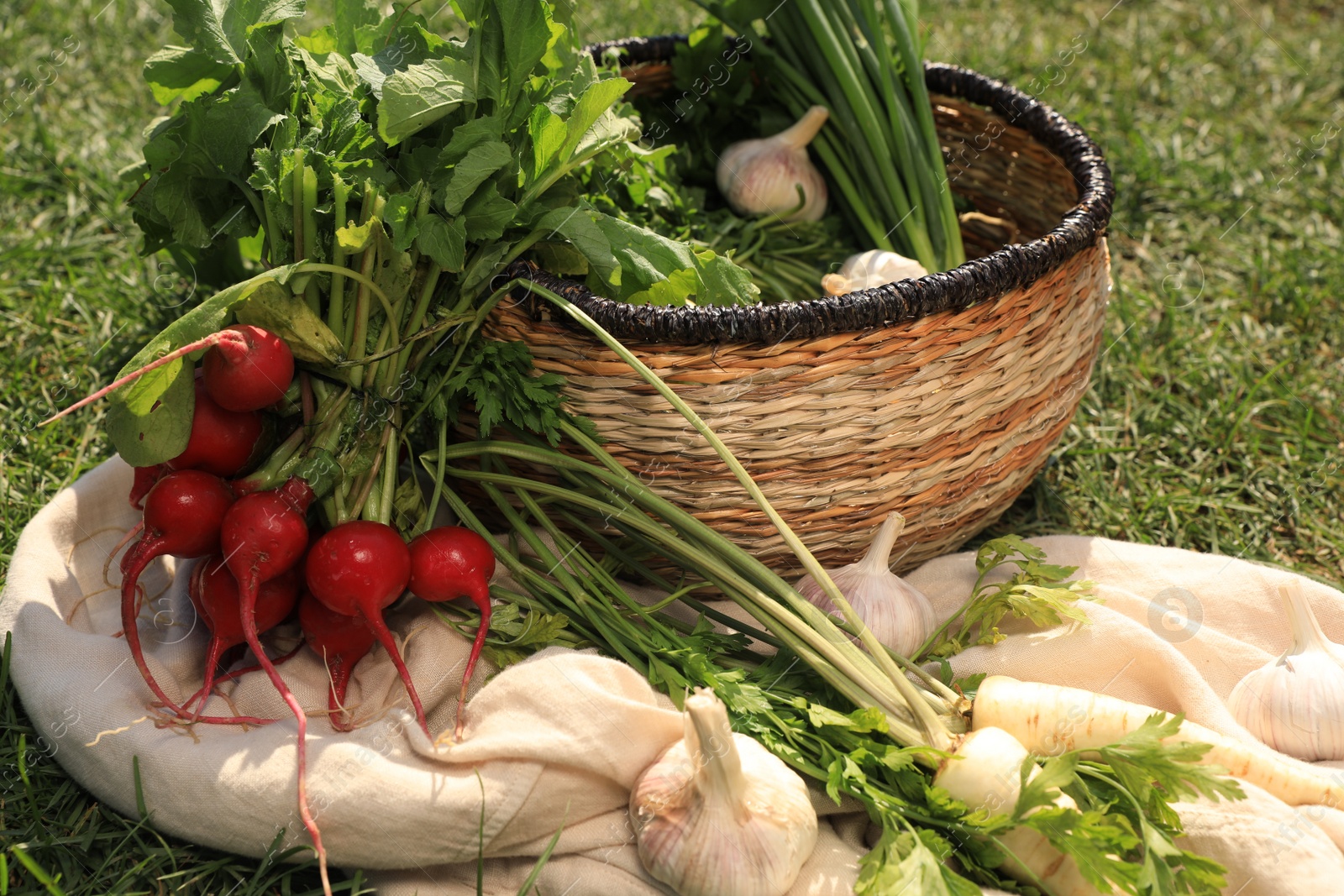 Photo of Different tasty vegetables and herbs on green grass outdoors