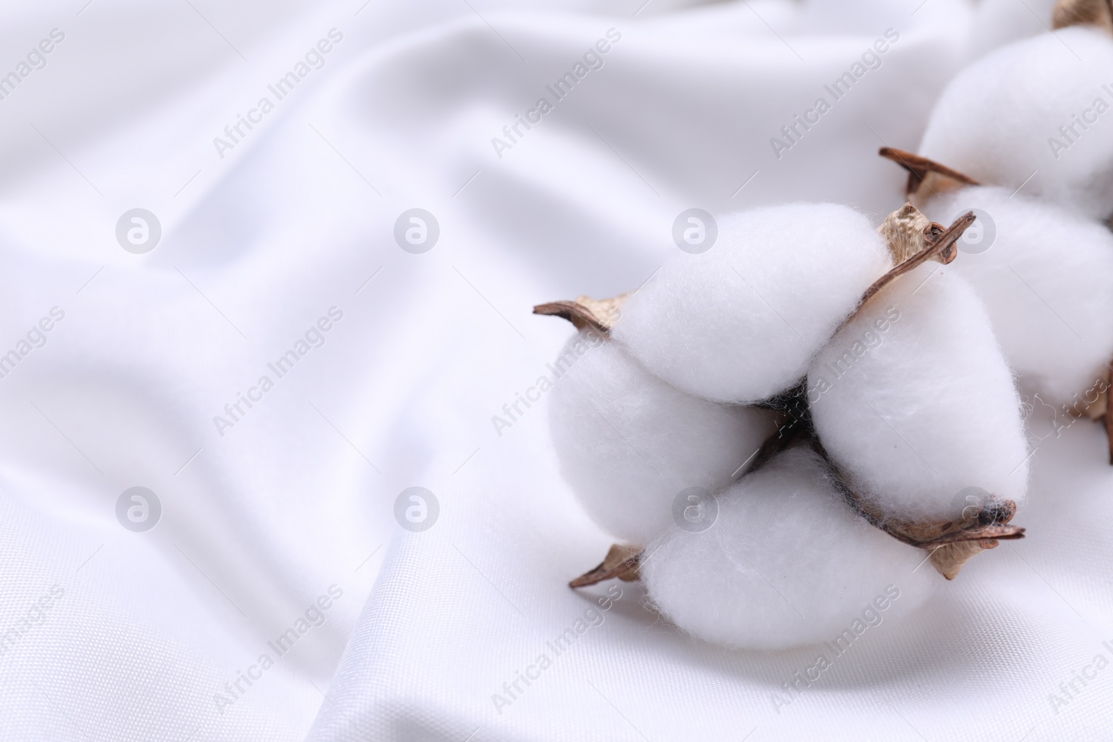 Photo of Fluffy cotton flowers on white fabric, closeup. Space for text