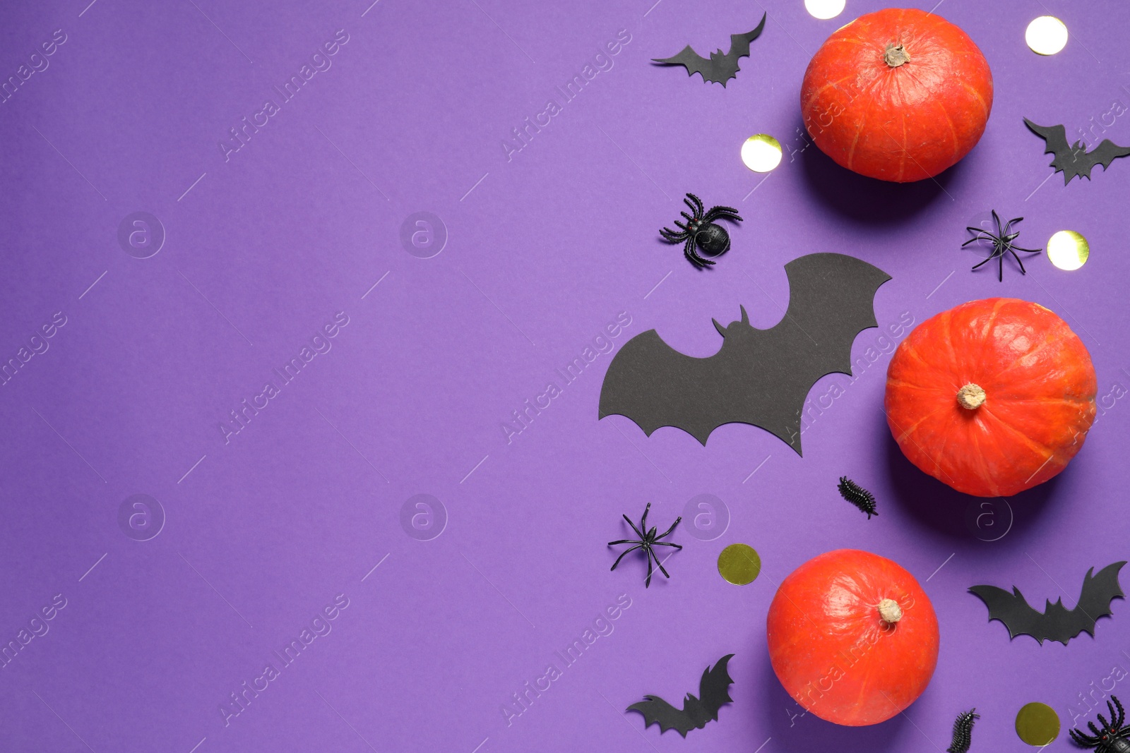 Photo of Flat lay composition with pumpkins, paper bats and spiders on purple background, space for text. Halloween decor