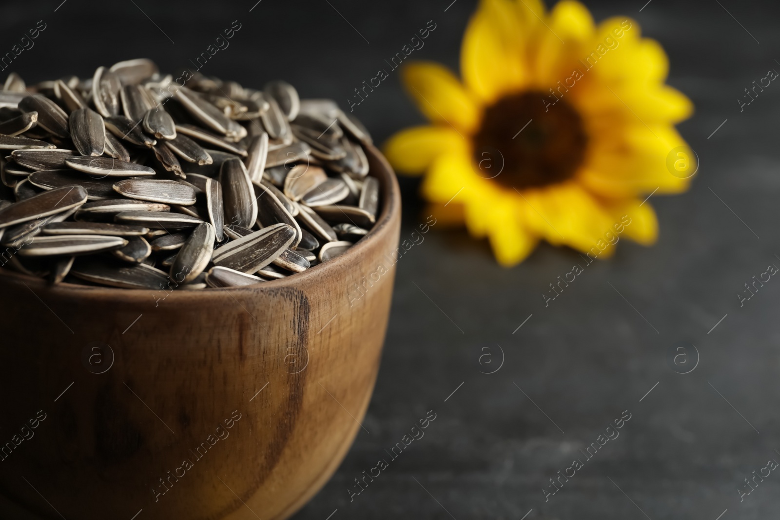 Photo of Raw sunflower seeds on black table, closeup. Space for text