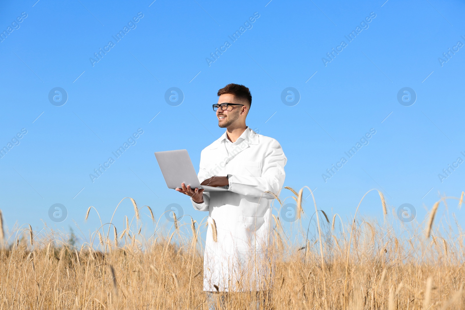 Photo of Agronomist with laptop in wheat field. Cereal grain crop