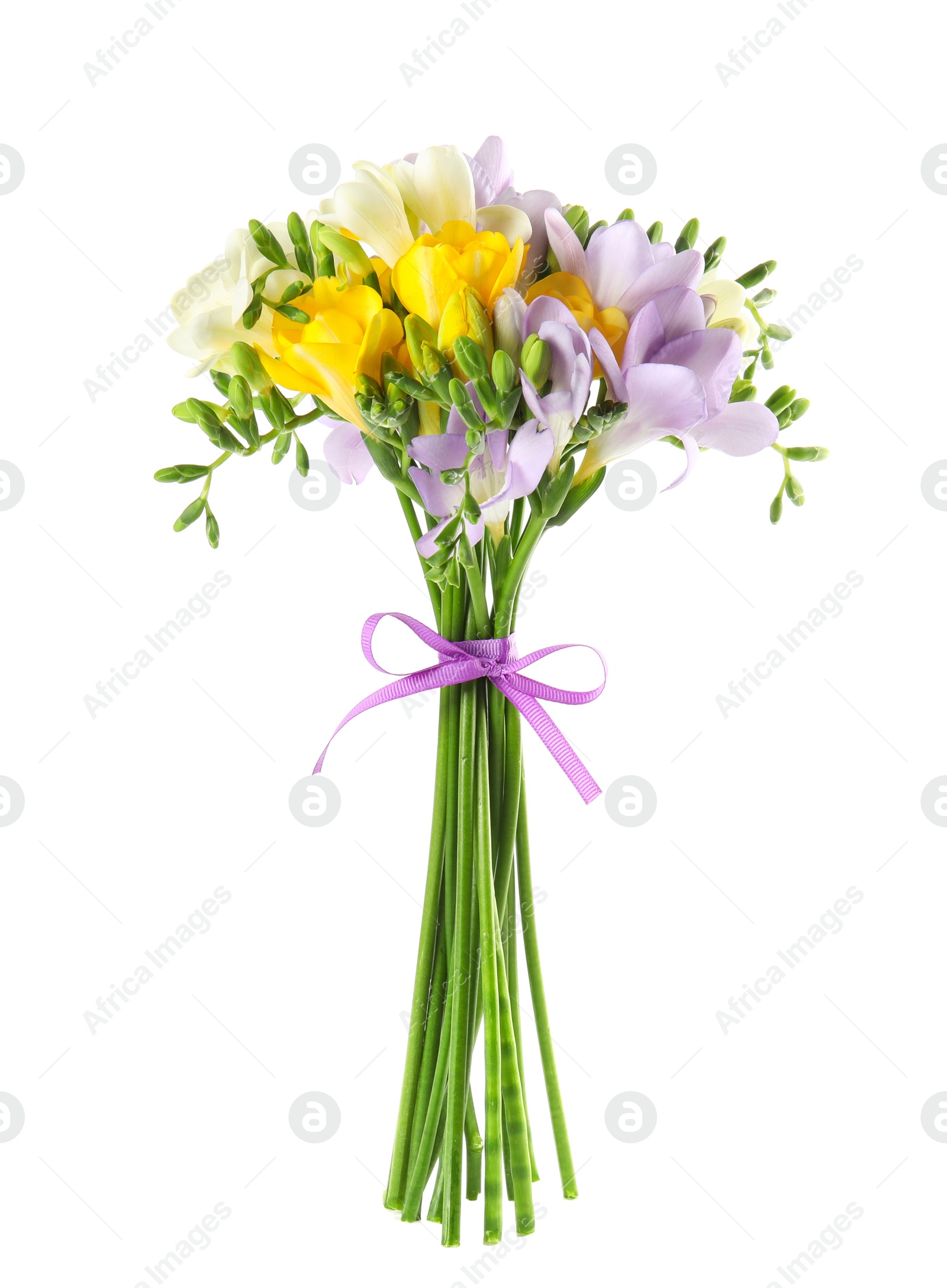 Photo of Bouquet of fresh freesia flowers isolated on white