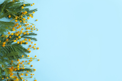 Photo of Flat lay composition with mimosa flowers on light blue background, space for text. Spring season