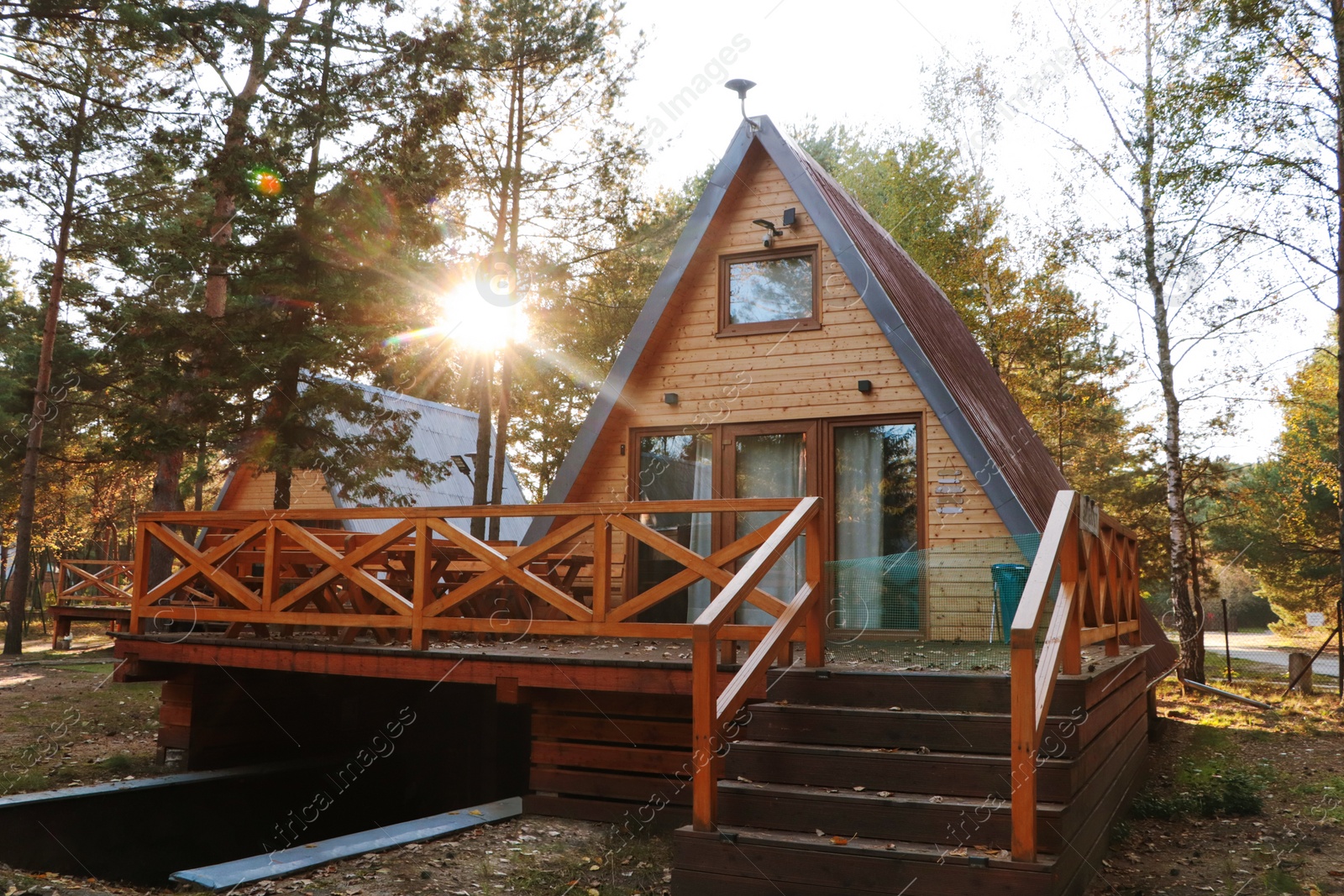 Photo of Picturesque view of modern wooden house with veranda near forest on sunny day