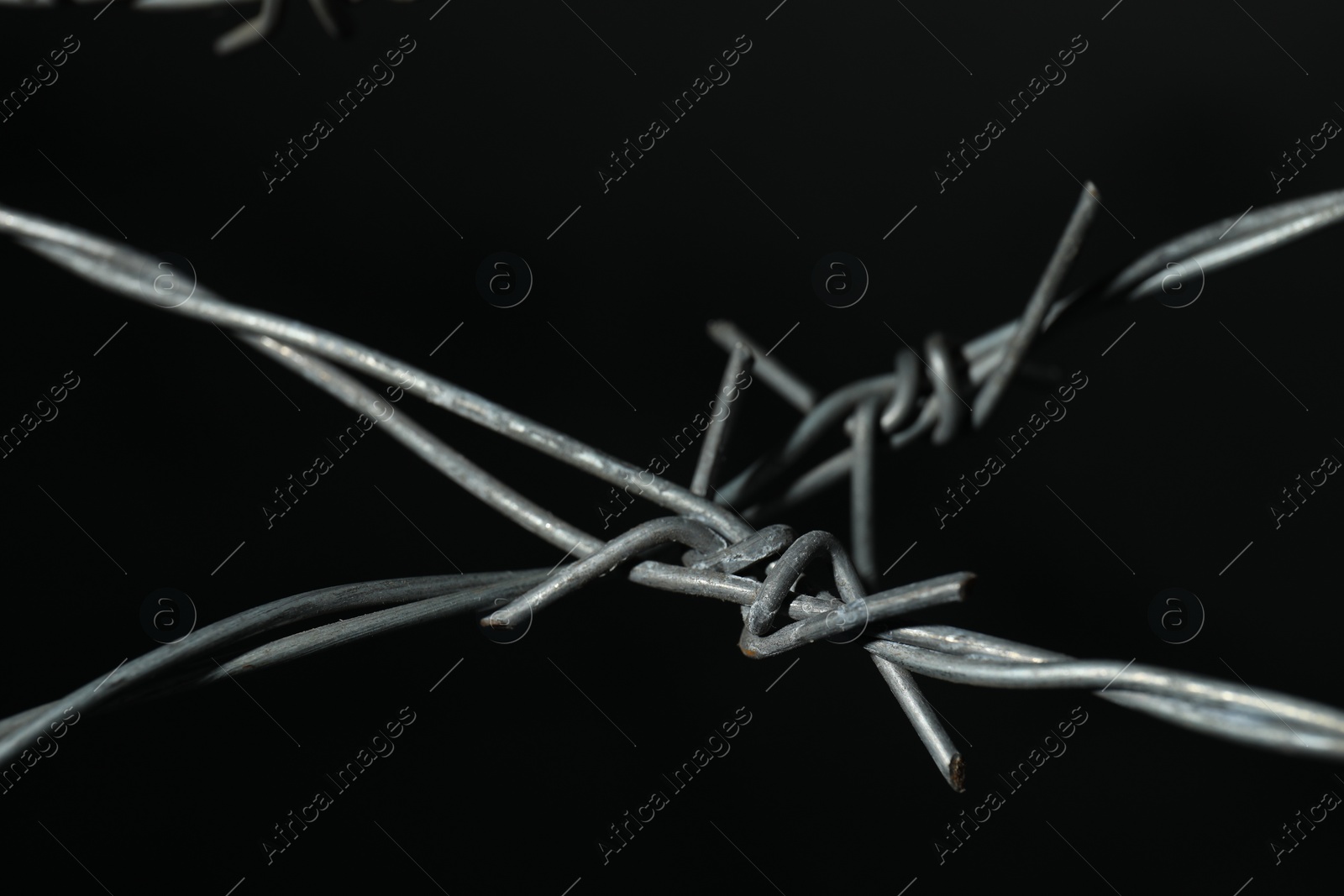 Photo of Shiny metal barbed wire on black background, closeup