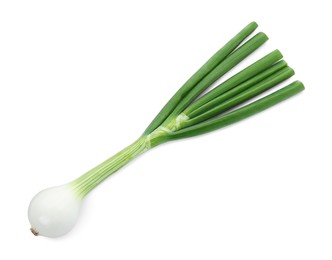Photo of Whole green spring onion isolated on white, top view