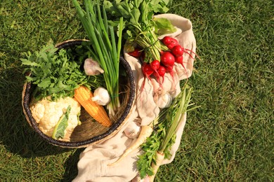 Different tasty vegetables and herbs in wicker baskets on green grass outdoors, top view