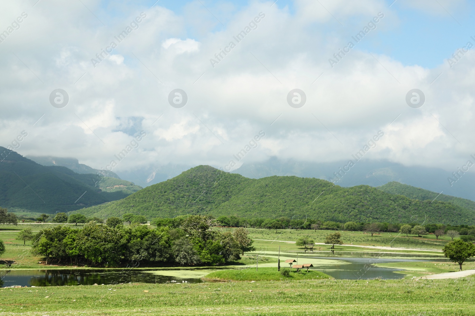 Photo of Picturesque view of mountains and green meadow with lake