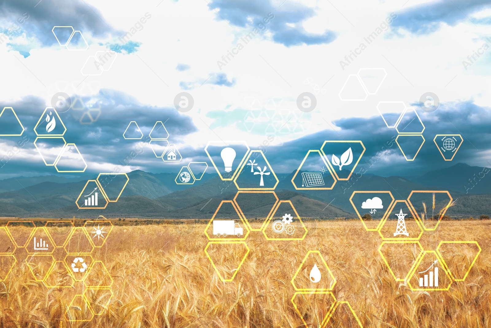 Image of Digital eco icons and beautiful view of wheat field on cloudy sky