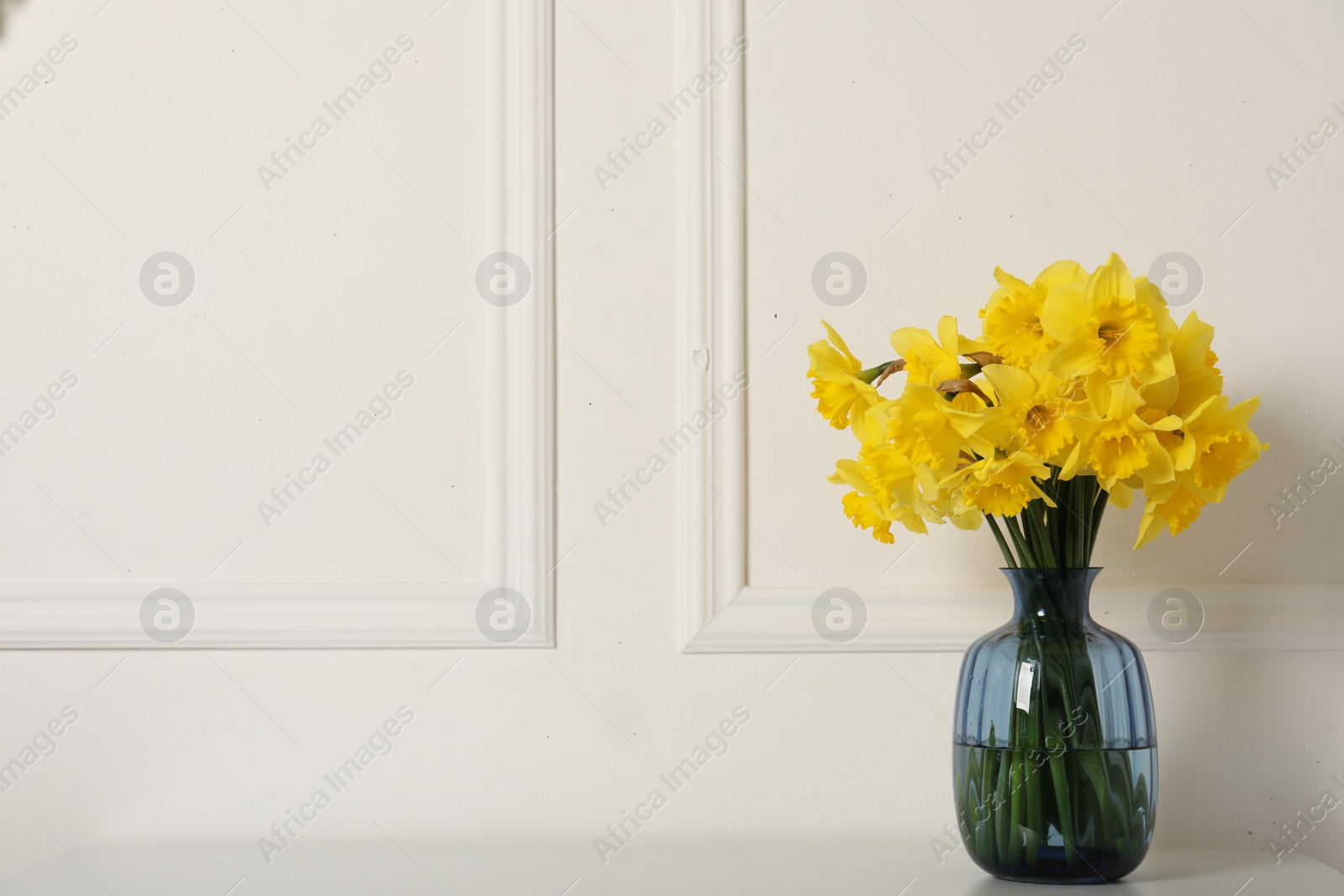 Photo of Beautiful daffodils in vase on table near white wall indoors, space for text